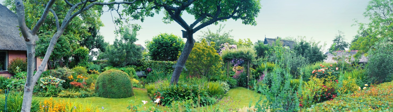 waarom biologische tuinplanten een goed idee zijn waarom biologische tuinplanten een goed idee zijn