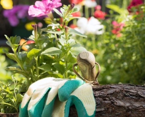 Lente-checklist Zo maak je je tuin klaar voor de lente