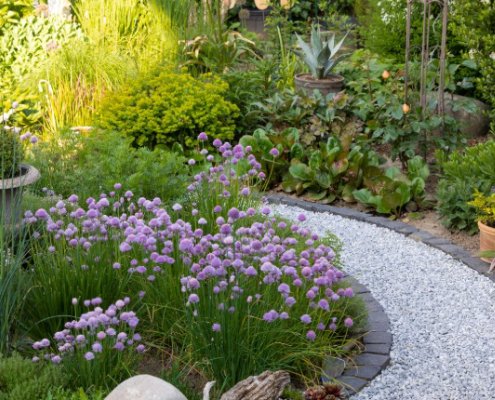 duurzame tuin met vaste planten