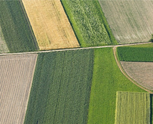 is regeneratieve landbouw een oplossing