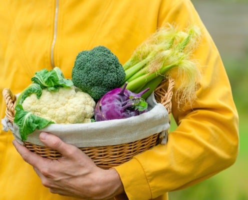 Is plantaardig eten duurzaam?