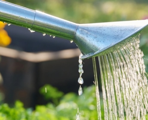Waterbesparing in de tuin