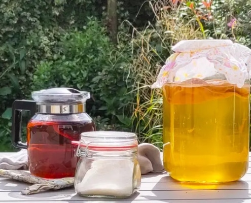 Zo-maak-je-thuis-je-eigen-kombucha