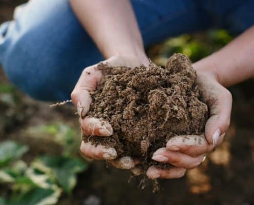 regeneratieve-landbouw-hype-of-oplossing