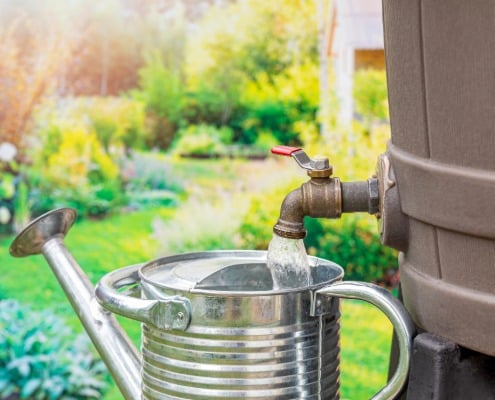 water besparen in je tuin