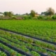hoe voedselproductie écht werkt