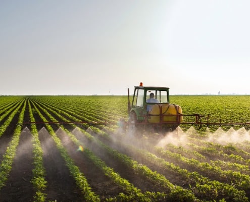 voedselzekerheid en bestuivers pesticiden
