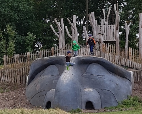 De-Maashorst-met-kinderen-speelbos