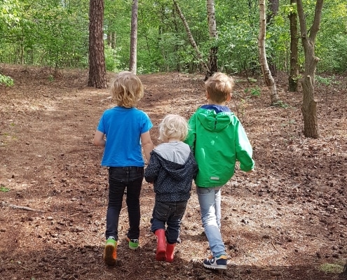 wandelen-met-kinderen-in-de-maashorst