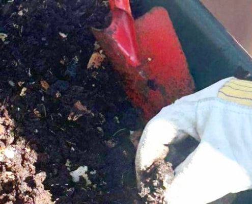 wormenhotel-compostwormen-verbinden-afval-en-buurten (1) wormenhotel-compostwormen-verbinden-afval-en-buurten (1)