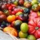 Tomaten verwerken en bewaren, hoe doe je dat op een duurzame manier