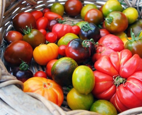 Tomaten verwerken en bewaren, hoe doe je dat op een duurzame manier Tomaten verwerken en bewaren, hoe doe je dat op een duurzame manier