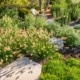 Zo maak je een droogtebestendige tuin