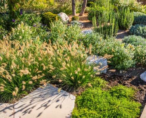 Zo maak je een droogtebestendige tuin