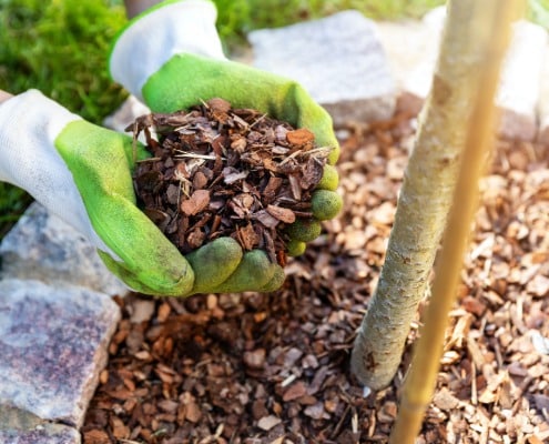 mulch