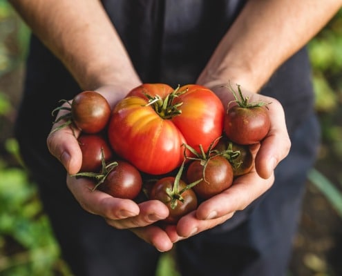 plantaardige recepten met tomaten