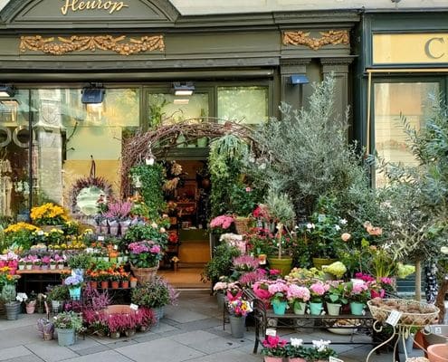 Welke bloemen zijn het duurzaamst Seizoensbloemen, tulpen, rozen of kunstbloemen