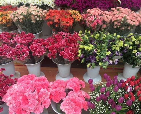 duurzaamste bloemen groene microscoop