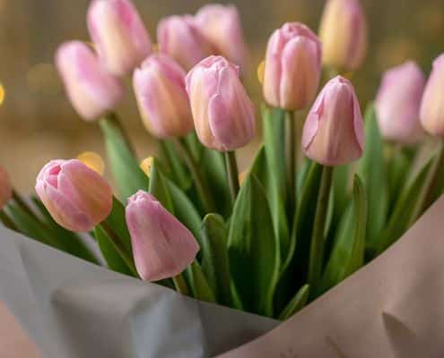 wat zijn de duurzaamste bloemen